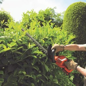 Black Decker Hedge Trimmers