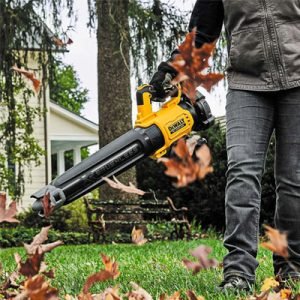 Dewalt Cordless Blowers