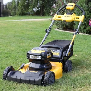 DeWalt Cordless Lawnmower & Festool Sander