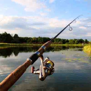 Fishing And Tackle for UK Anglers