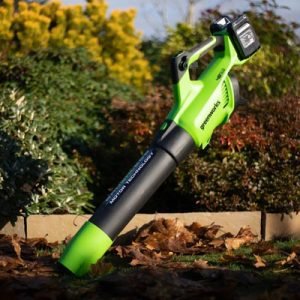 Greenworks Leaf Blowers for Fast Garden Cleaning