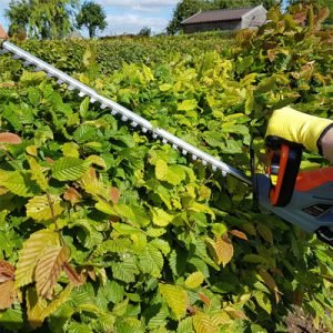 Terratek Cordless Hedge Trimmers