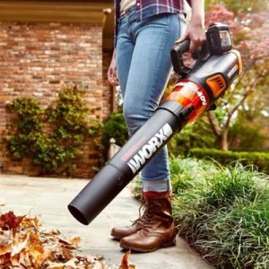 Worx Cordless Leaf Blowers