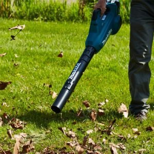 Makita Cordless Leaf Blowers