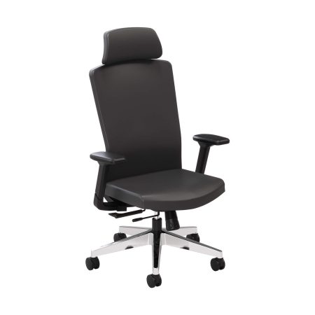 toptopdealcouk-office-hippo-executive-desk-chair-with-adjustable-arms-office-hippo-chair
